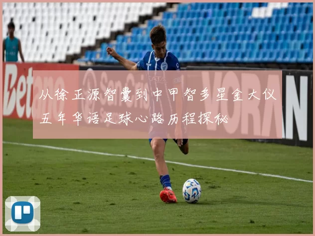 从徐正源智囊到中甲智多星金大仪五年华语足球心路历程探秘