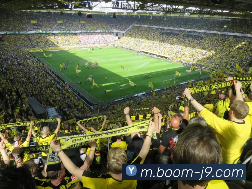 九游会服务体系